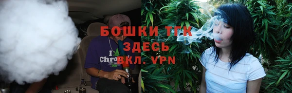тгк Алексин