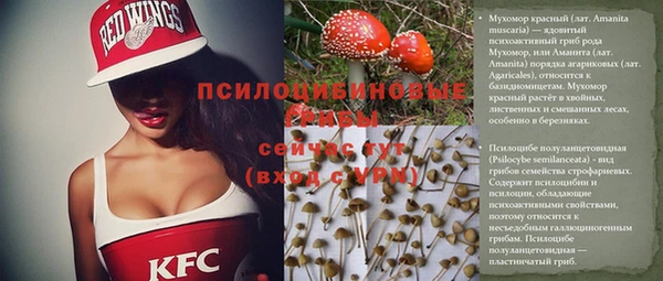 бошки Алексеевка