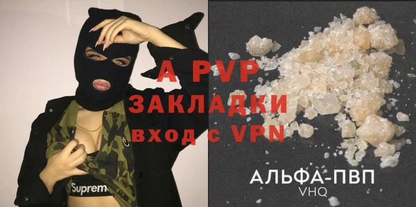 хмурый Алзамай