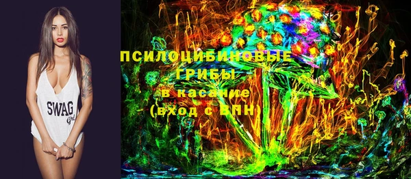 шишки Нея