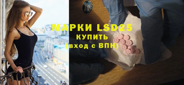 хмурый Алзамай