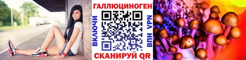 Псилоцибиновые грибы Psilocybine cubensis  Чебаркуль 
